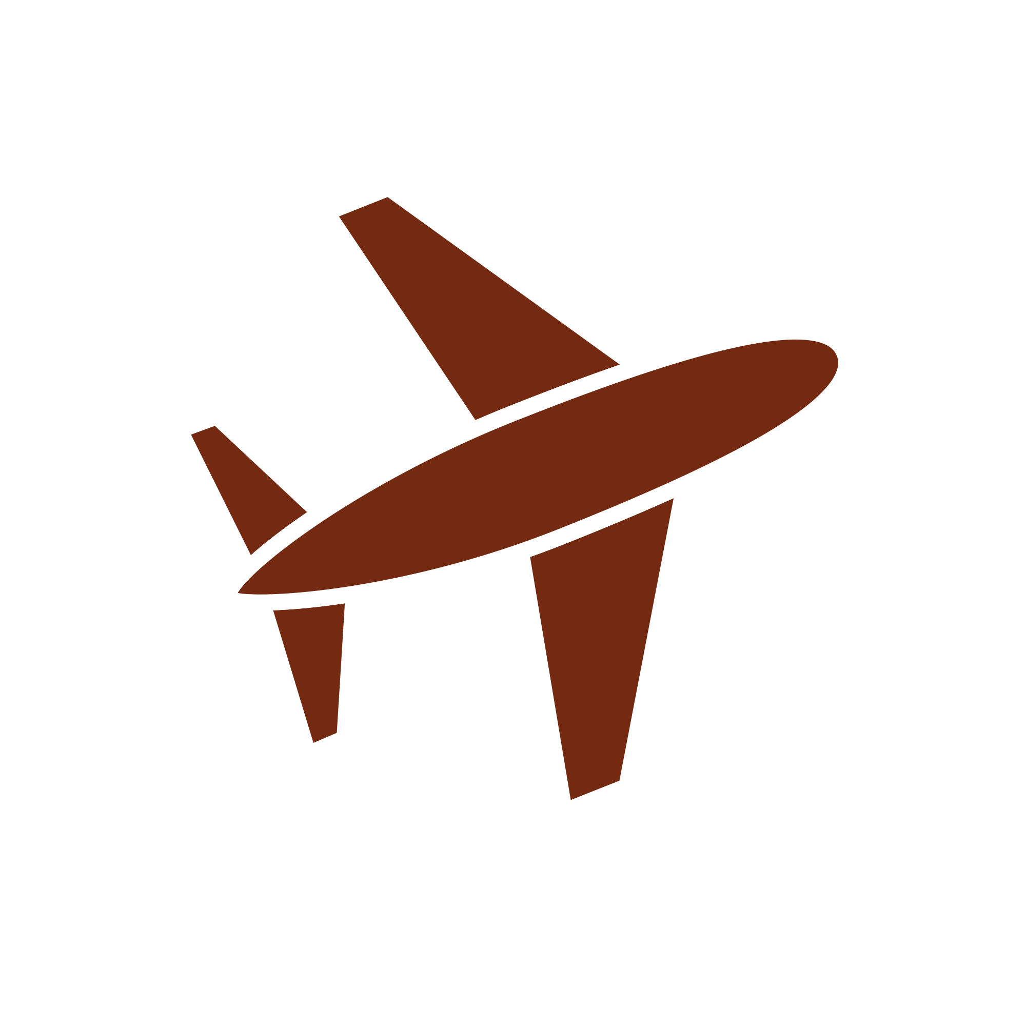 Air travel icon