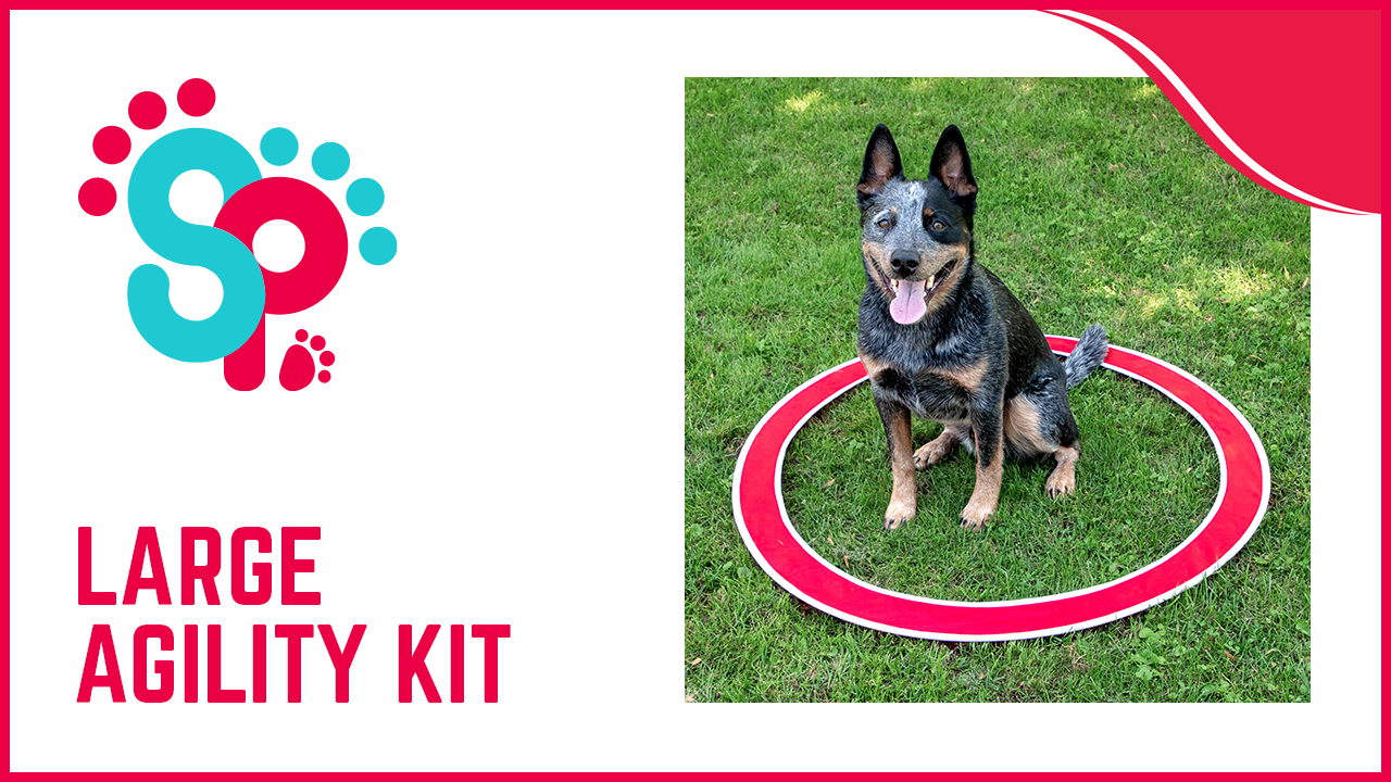 Intermediate Dog Kit - Recyled Plastic - Agility Course